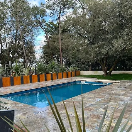 بيت للعطل 14 Personnes Piscine Et