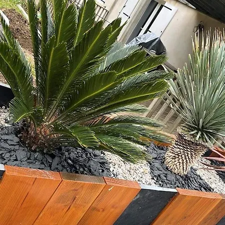 14 Personnes Piscine Et جارد سور مير